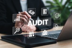 Business audit Attorney Virginia